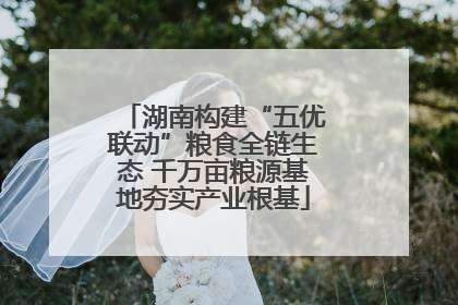 湖南构建“五优联动”粮食全链生态 千万亩粮源基地夯实产业根基