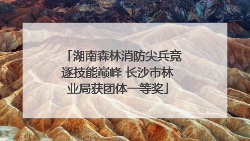 湖南森林消防尖兵竞逐技能巅峰 长沙市林业局获团体一等奖