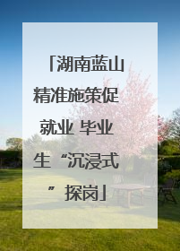 湖南蓝山精准施策促就业 毕业生“沉浸式”探岗