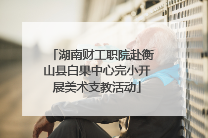 湖南财工职院赴衡山县白果中心完小开展美术支教活动