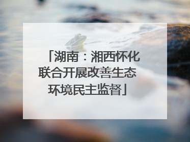 湖南：湘西怀化联合开展改善生态环境民主监督