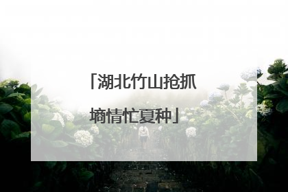 湖北竹山抢抓墒情忙夏种