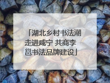 湖北乡村书法潮走进咸宁 共商李邕书法品牌建设