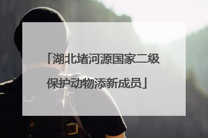 湖北堵河源国家二级保护动物添新成员
