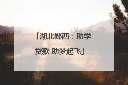 湖北郧西：助学贷款 助梦起飞