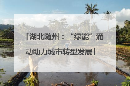 湖北随州：“绿能”涌动助力城市转型发展
