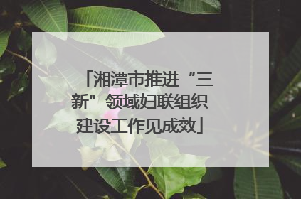 湘潭市推进“三新”领域妇联组织建设工作见成效