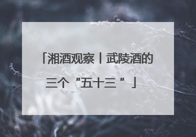 湘酒观察丨武陵酒的三个“五十三 ”