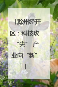 滁州经开区：科技攻“尖” 产业向“新”