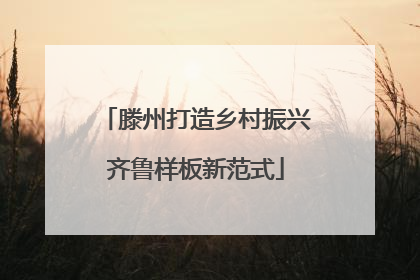 滕州打造乡村振兴齐鲁样板新范式