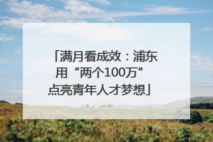满月看成效：浦东用“两个100万”点亮青年人才梦想