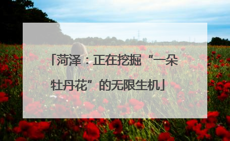 菏泽：正在挖掘“一朵牡丹花”的无限生机