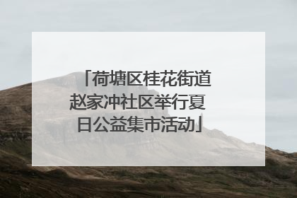 荷塘区桂花街道赵家冲社区举行夏日公益集市活动