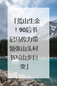 荒山生金！90后书记马传力带领张山头村书写山乡巨变