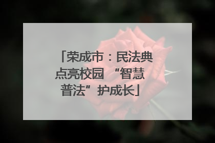 荣成市：民法典点亮校园 “智慧普法”护成长