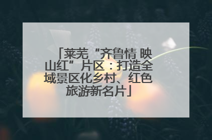 莱芜“齐鲁情 映山红”片区：打造全域景区化乡村、红色旅游新名片