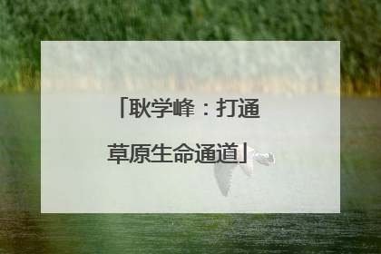 耿学峰：打通草原生命通道