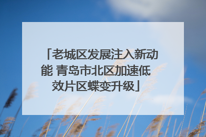 老城区发展注入新动能 青岛市北区加速低效片区蝶变升级