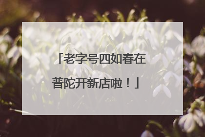 老字号四如春在普陀开新店啦！