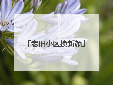 老旧小区换新颜