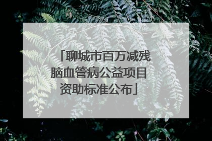 聊城市百万减残脑血管病公益项目资助标准公布