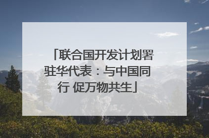 联合国开发计划署驻华代表：与中国同行 促万物共生