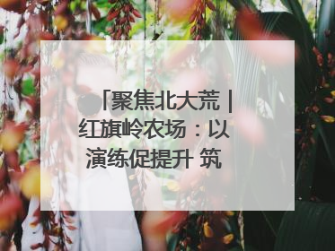 聚焦北大荒｜红旗岭农场：以演练促提升 筑牢平安基石
