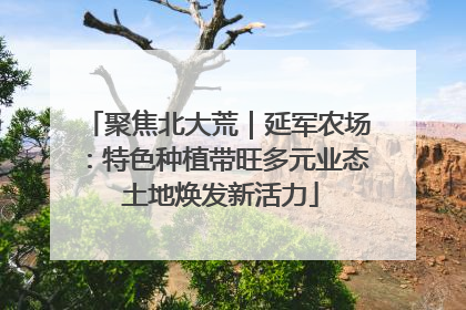 聚焦北大荒｜延军农场：特色种植带旺多元业态 土地焕发新活力