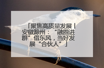 聚焦高质量发展丨安徽滁州：“融圈进群”借东风，当好发展“合伙人”