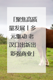 聚焦高质量发展丨多元驱动 老汉口出新出彩强商业