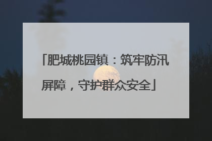 肥城桃园镇：筑牢防汛屏障，守护群众安全