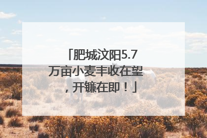 肥城汶阳5.7万亩小麦丰收在望，开镰在即！