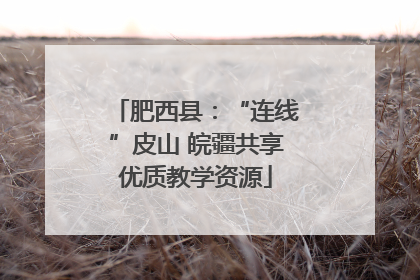 肥西县：“连线”皮山 皖疆共享优质教学资源