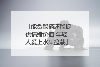 能赏能摘还能提供情绪价值 年轻人爱上水果盆栽