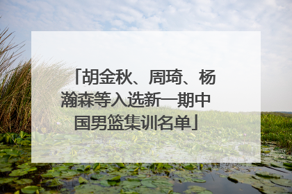 胡金秋、周琦、杨瀚森等入选新一期中国男篮集训名单