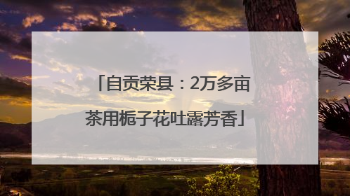 自贡荣县：2万多亩茶用栀子花吐露芳香