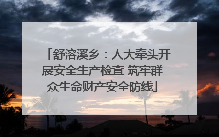 舒溶溪乡：人大牵头开展安全生产检查 筑牢群众生命财产安全防线