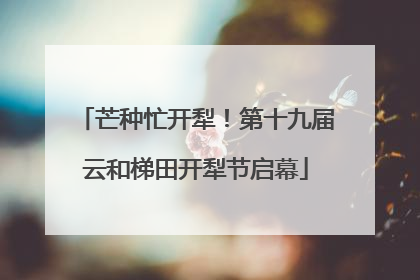 芒种忙开犁！第十九届云和梯田开犁节启幕