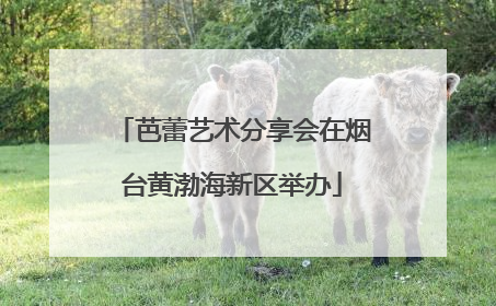 芭蕾艺术分享会在烟台黄渤海新区举办