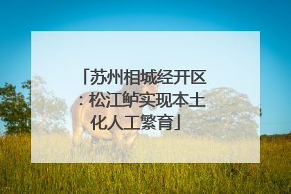 苏州相城经开区：松江鲈实现本土化人工繁育
