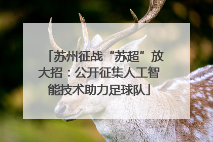 苏州征战“苏超”放大招：公开征集人工智能技术助力足球队