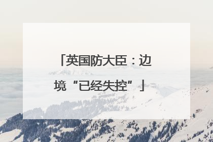 英国防大臣：边境“已经失控”
