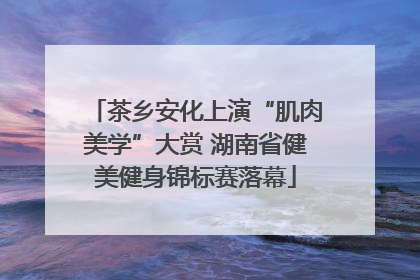 茶乡安化上演“肌肉美学”大赏 湖南省健美健身锦标赛落幕