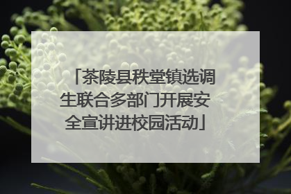 茶陵县秩堂镇选调生联合多部门开展安全宣讲进校园活动