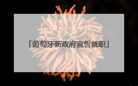 葡萄牙新政府宣誓就职