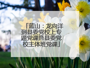 蓝山：龙向洋到县委党校上专题党课暨县委党校主体班党课