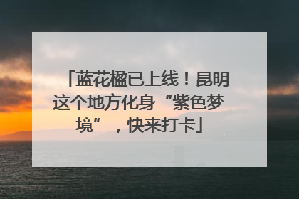 蓝花楹已上线！昆明这个地方化身“紫色梦境”，快来打卡