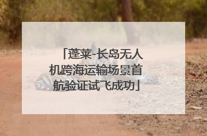 蓬莱-长岛无人机跨海运输场景首航验证试飞成功