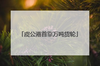 虞公港首靠万吨货轮