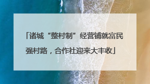 诸城“整村制”经营铺就富民强村路，合作社迎来大丰收